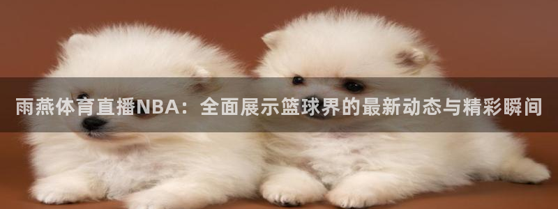 雨燕体育直播NBA：全面展示篮球界的最新动态与精彩瞬间